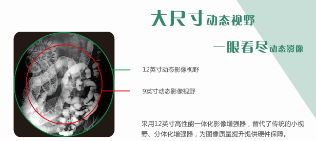 动态dr