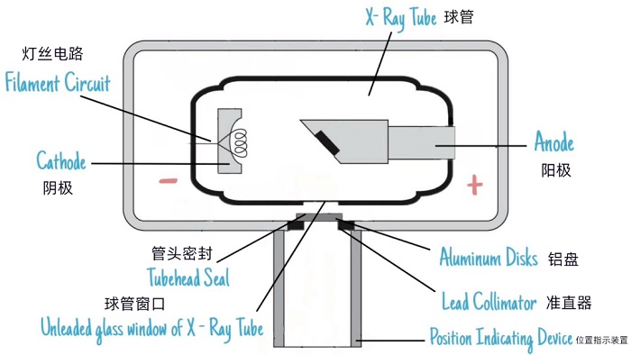 球管结构