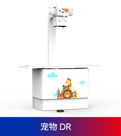 宠物dr